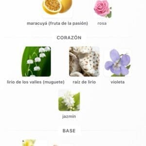 Fayora EDP Paris Corner 100ml - Imagen 5