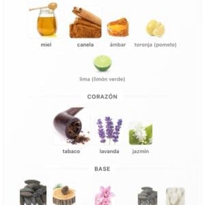 Nusuk ATEEQ EDP 100ml - Imagen 5