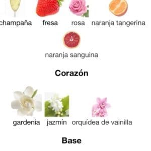 Bruma Haya o Mayar 150ml - Bruma perfumada Natural Intenso para Todo el Cuerpo de Lattafa - Imagen 5