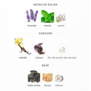 Lattafa The Kingdom Men EDP 100ml - Imagen 5
