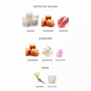 Lana Obsession Cámara EDP 100ml - Imagen 5