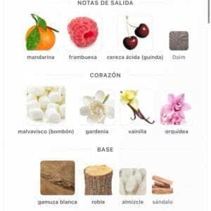 Le Chemau Haya Crush EDP 100ml - Imagen 5