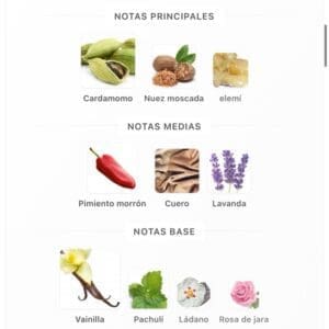 Afnan 9pm Elixir EDP 100ml - Imagen 5