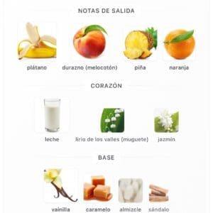 Banana SPLIT By Gulf Orchid EDP 100ML Notas Platano dulce - Imagen 5