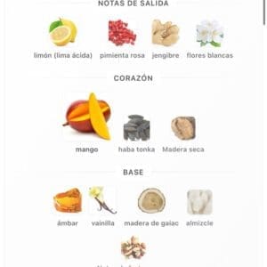Armaf Odyssey Mango Go 100ml EDP - Perfume de la Colección Tropical con Notas de Mango Fresco - Imagen 5