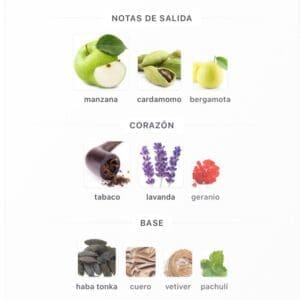 Lattafa Jasoor EDP 100ml - Imagen 5