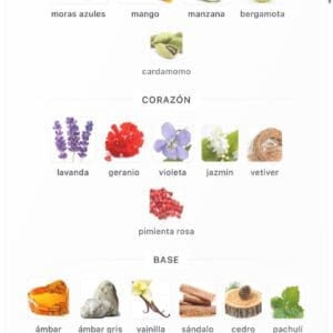French Avenue Aromatix Frostbite Extrait 100ml - Imagen 5