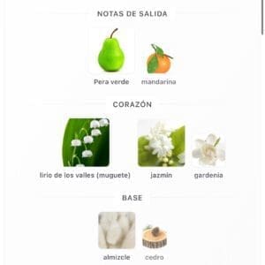 Lattafa Layaan EDP - Perfume Floral Dulce y Elegante con Notas de Florales y Almizcle para Mujer - Imagen 5
