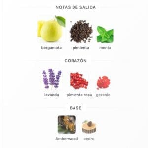 Rayhaan Nocturno EDP 100ml - Imagen 5