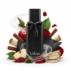 French Avenue Vulcan Baie EDP - Imagen 7