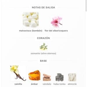 Gelato viva la vida vanilla Amarán EDP - Imagen 6