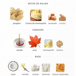 Le Falcone Risala le falcone Forever EDP 100 ml - Perfume Floral-Ambarado Elegante para Mujeres Elegantes y Ocasiones Especiales - Imagen 4