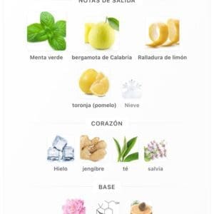 Riiffs Freeze EDP 100ml - Imagen 5