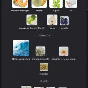 Armaf Odyssey Ba Ha Mas EDP 100ml - Imagen 5