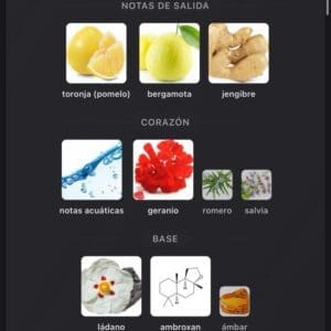 Ehsas Joy Risala Perfume para hombre Eau de Parfum 100 ml - Imagen 5