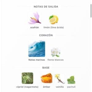 Nomad French Avenue EDP 100ml - Imagen 5