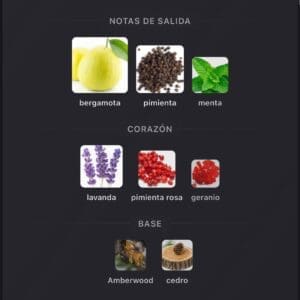 Rayhaan Nocturno Elixir EDP 100ml - Imagen 5