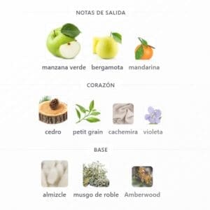 Aether Extrait French Avenue EDP 100ml - Imagen 4