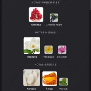 Ithra Dubai Pomegranate Musk – Eau de Parfum 100ml - Imagen 5