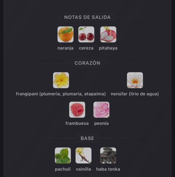 Lattafa Jouri Rose Eau de Parfum perfume árabe mujer