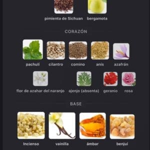 Rayhaan Terra EDP 100ml - Imagen 4