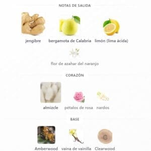 TAIF – Riiffs EDP 100ml - Imagen 4